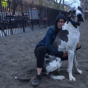 Meet your Posher, Scout